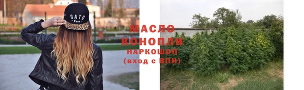 гашик Богородицк
