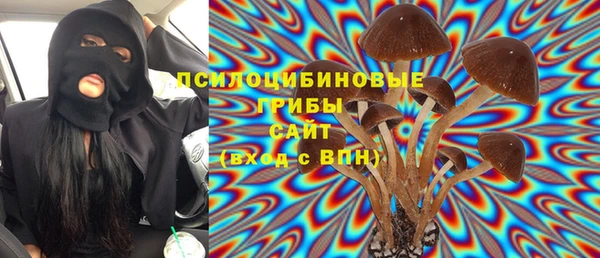 прущая мука Богданович