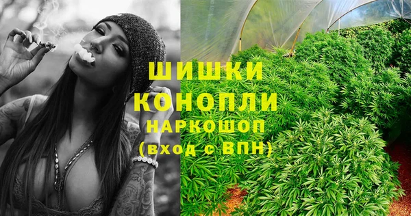 гашик Богородицк