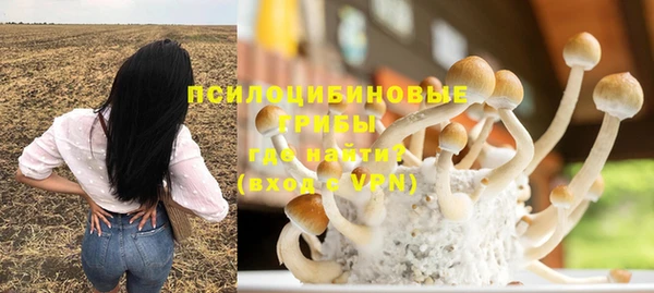прущая мука Богданович