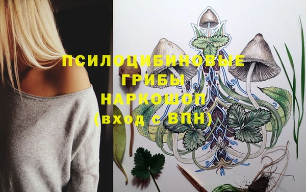 гашик Богородицк