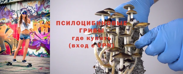 дмт Богородск